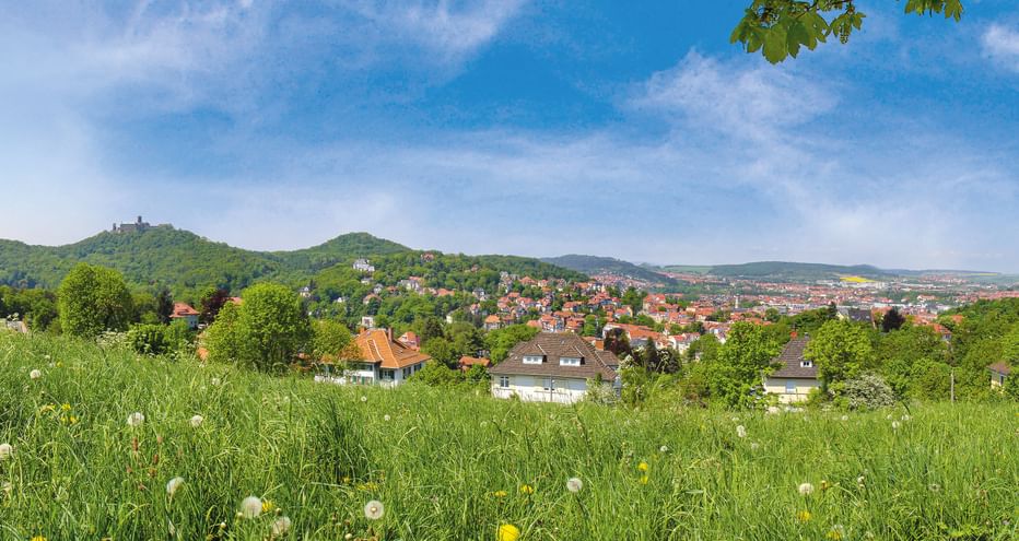 Blick auf eine thüringische Stadt in grünen Hügeln mit einer Burg auf dem Hügel. Im Vordergrund eine Wildblumenwiese mit Löwenzahn.