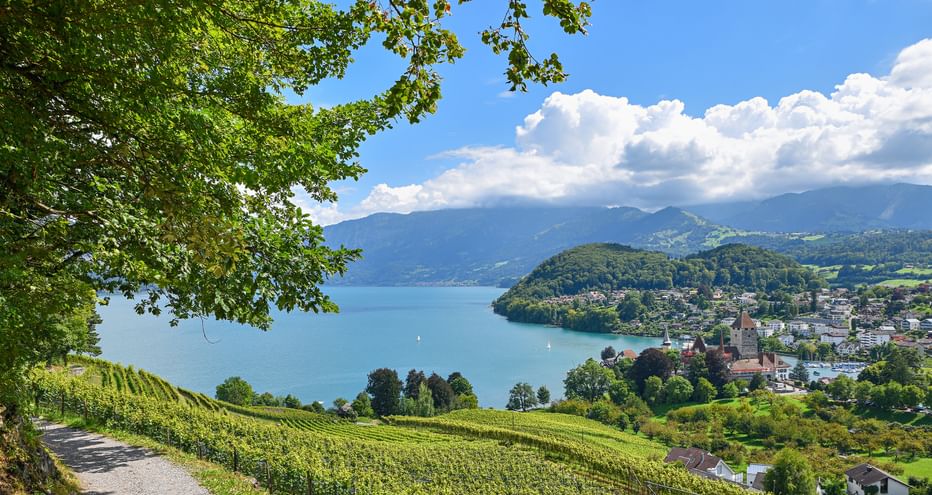 Panoramablick auf einen Schweizer See umgeben von Bergen, mit terrassierten Weinbergen im Vordergrund und einer Seestadt am Ufer.